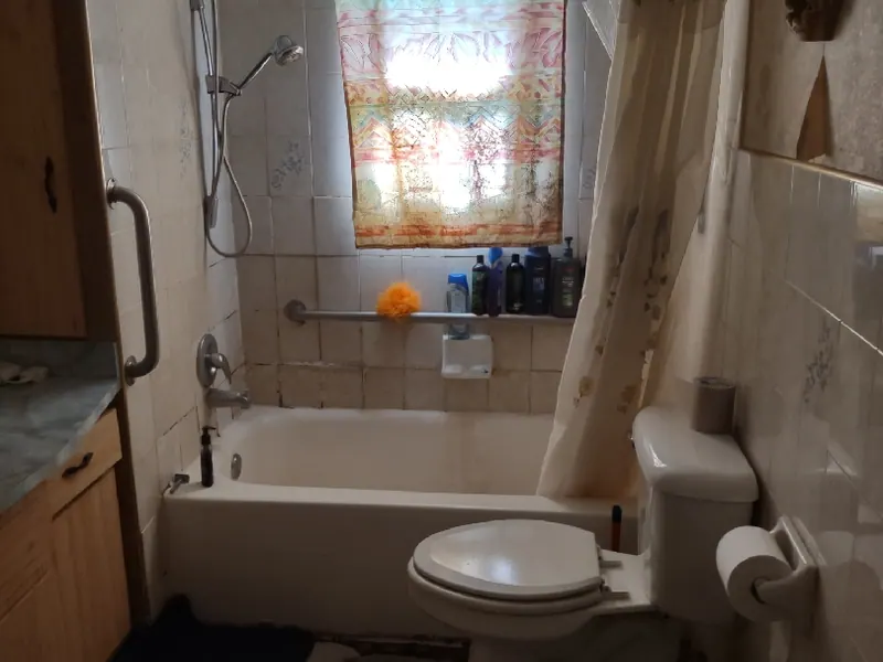 Tub-to-shower conversion — before