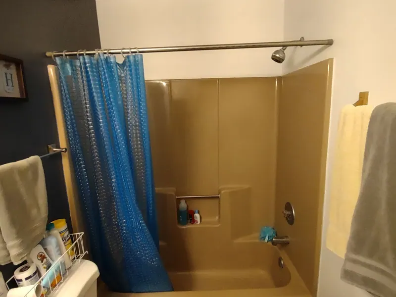 Tub-to-shower conversion — before